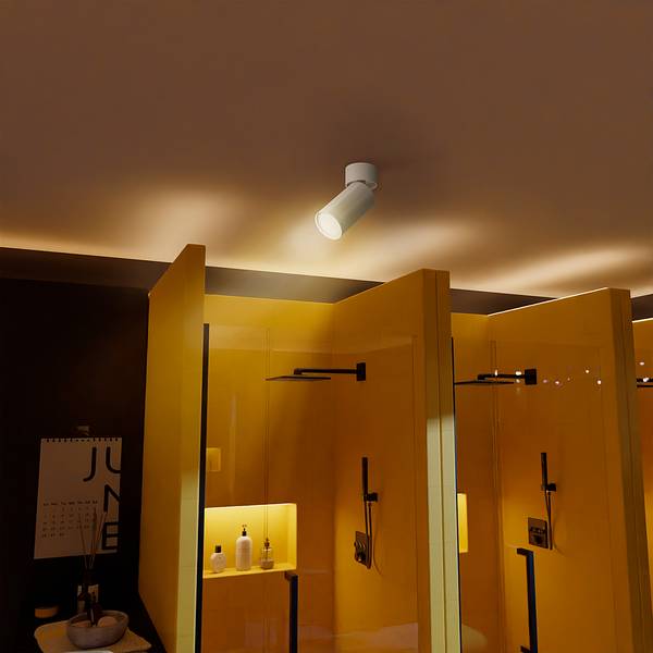 Plafonnier Focus S - Type D Aluminium - 1 ampoule