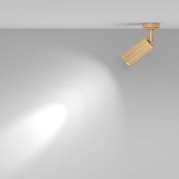 Lampada da soffitto Focusdesign Alluminio - 1 punto luce