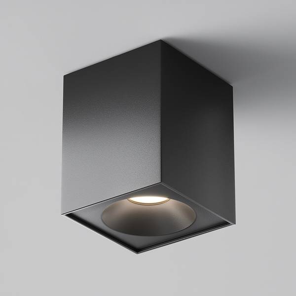 Lampada da soffitto Zoom Alluminio - 1 punto luce - Nero