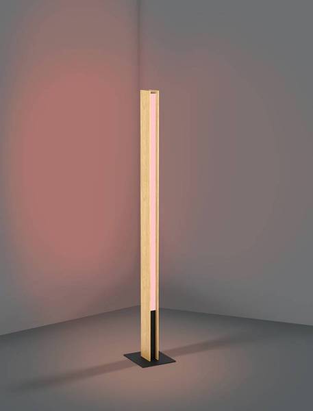 Lampada da terra LED Anchorena Materiale plastico - 1 punti luce