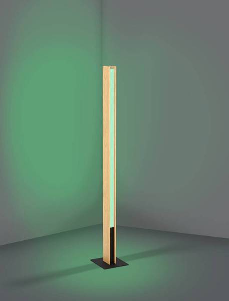 Lampada da terra LED Anchorena Materiale plastico - 1 punti luce