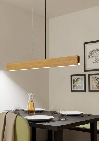 Suspension LED Anchorena Acier - 1 ampoule
