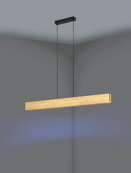 Suspension LED Anchorena Acier - 1 ampoule