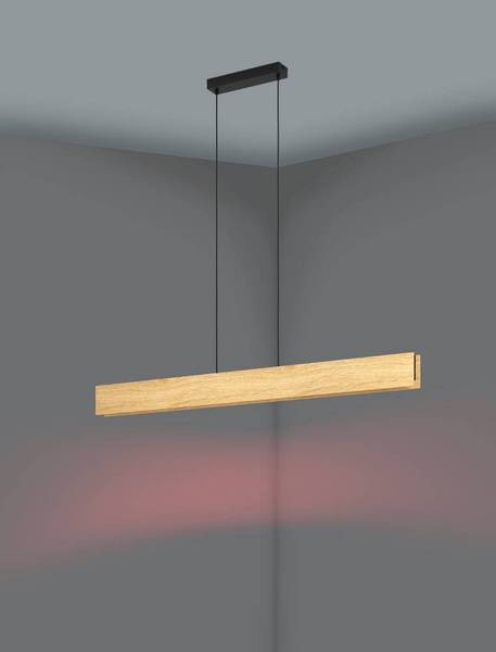 Suspension LED Anchorena Acier - 1 ampoule