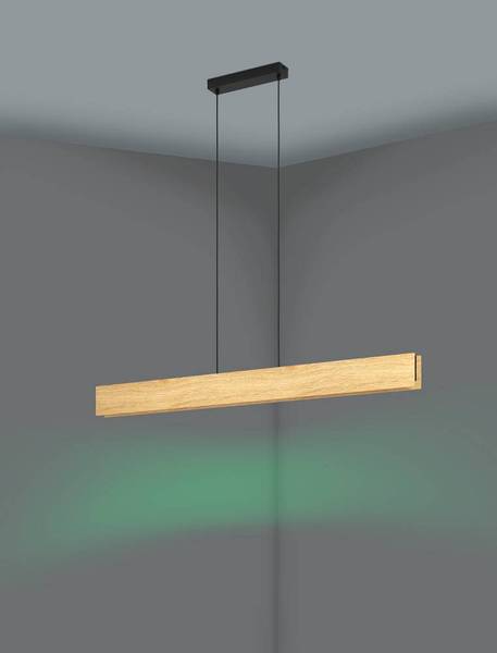 Suspension LED Anchorena Acier - 1 ampoule