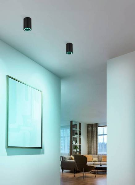 LED-plafondlamp Carosso polycarbonaat/aluminium - 1-lichts - zwart