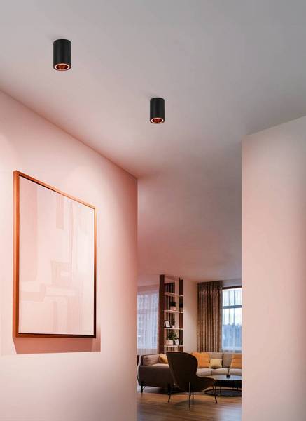 LED-plafondlamp Carosso polycarbonaat/aluminium - 1-lichts - zwart