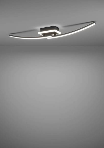 Lampada da soffitto LED Lungolago A Acciaio / Policarbonato - 1 punto luce