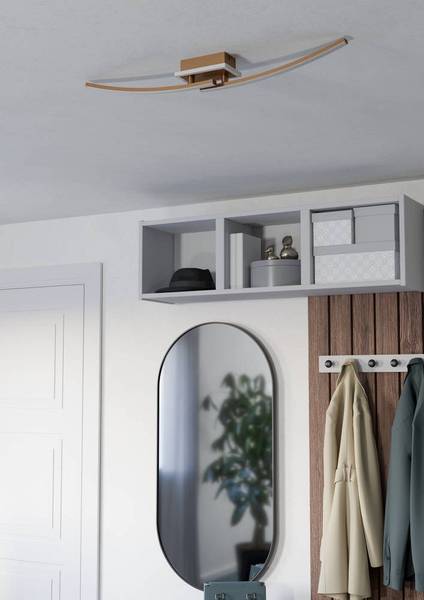 Lampada da soffitto LED Lungolago C Acciaio / Policarbonato - 1 punto luce