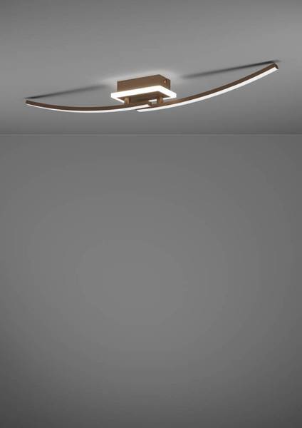 Lampada da soffitto LED Lungolago C Acciaio / Policarbonato - 1 punto luce