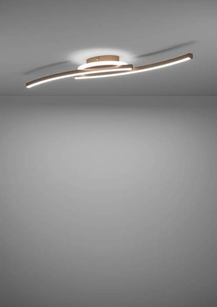 Lampada da soffitto LED Lungolago D Acciaio / Policarbonato - 1 punto luce
