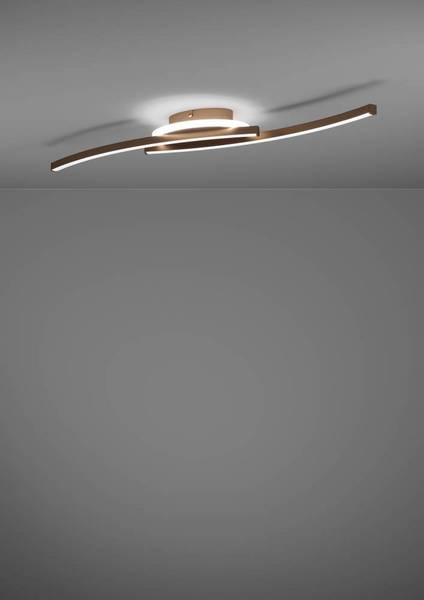 Lampada da soffitto LED Lungolago D Acciaio / Policarbonato - 1 punto luce