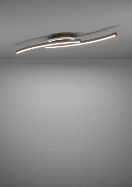 Lampada da soffitto LED Lungolago D Acciaio / Policarbonato - 1 punto luce