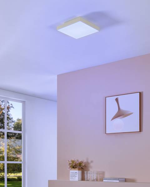 Lampada da soffitto LED Turcona B Acciaio / Policarbonato - 1 punto luce