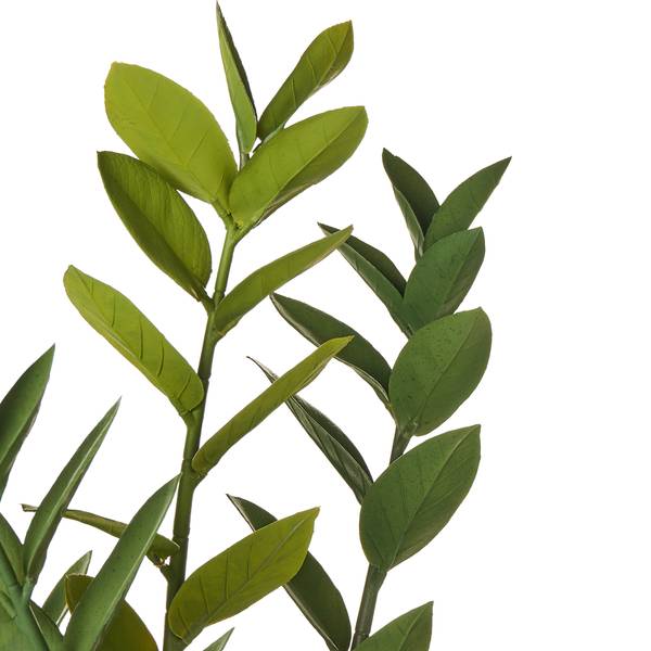 Kunstpflanze ZAMIIFOLIA Schwarz - Grün - Kunststoff - 33 x 76 x 33 cm
