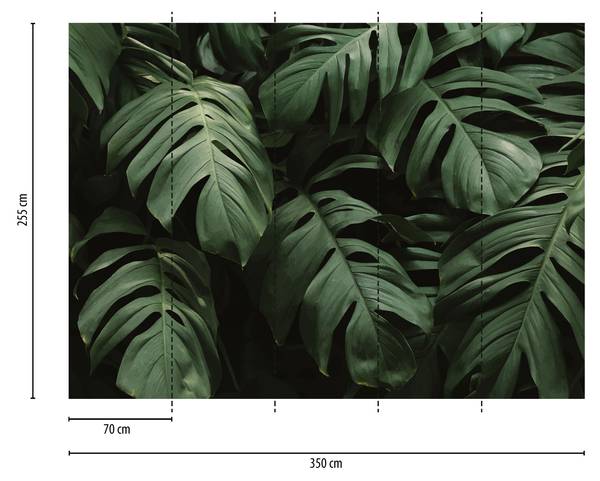 Fototapete Monstera Blätter Grün - Vinyl - 350 x 255 x 1 cm