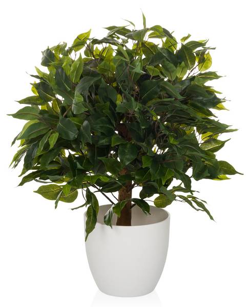 Kunstpflanze FICUS II Grün - Kunststoff - 40 x 65 x 40 cm