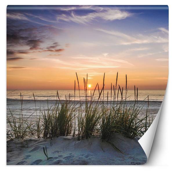 Fototapete Dünen Strand Sonnenuntergang 100 x 100 cm