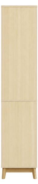 Hochschrank Prometheus Ⅲ Braun - Holzwerkstoff - 40 x 172 x 36 cm