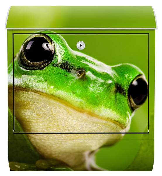 Briefkasten Wetterfrosch Grün - Stahl - 39 x 46 x 13 cm