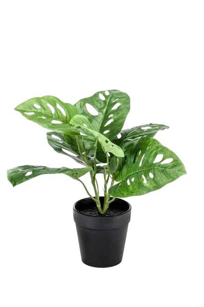 Künstliche Monstera Jonah Beige - Kunststoff - 1 x 30 x 1 cm