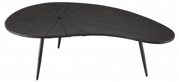 Couchtisch JAMES Schwarz - Massivholz - 73 x 37 x 122 cm