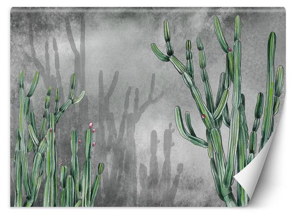 Fototapete Hängende Bunte Blumen Beton 350 x 245 cm