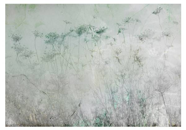 Vliestapete Blumen Yuf 450 x 315 cm