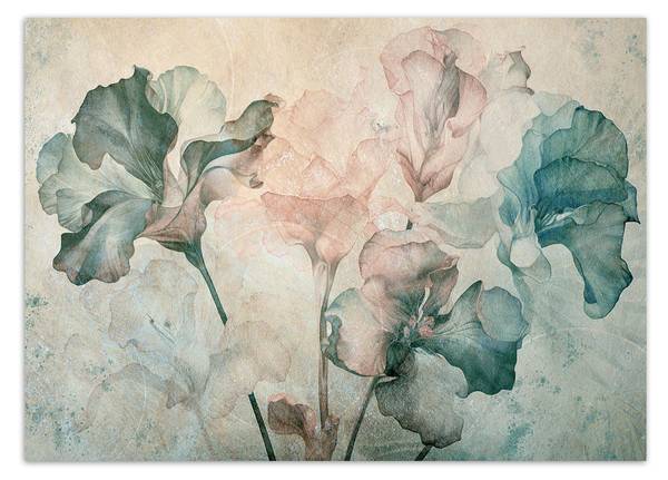 Fototapete Subtile Irisblüte 250 x 175 cm