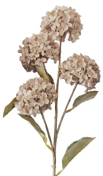 Kunstblume 84888 Beige - Kunststoff - 1 x 70 x 70 cm