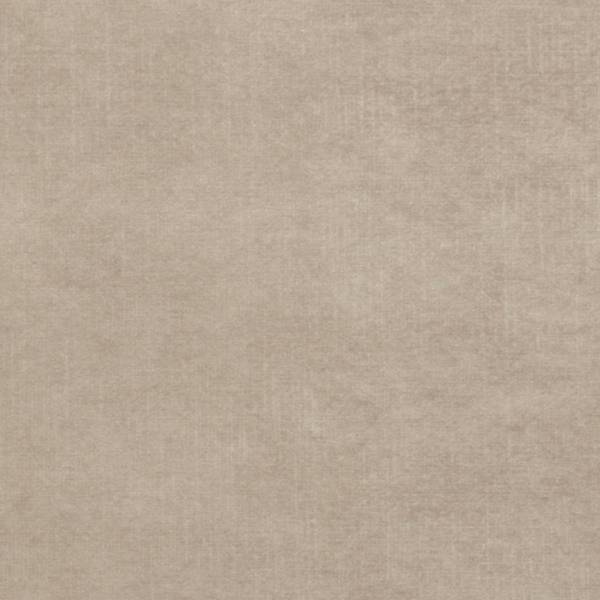 Polsterbett MUMMO Creme - Liegefläche Länge: 180 cm