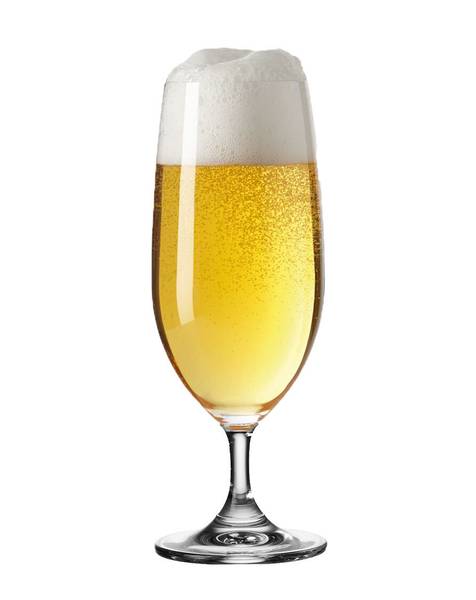 Biergläser Daily 6er Set Glas - 6 x 19 x 6 cm