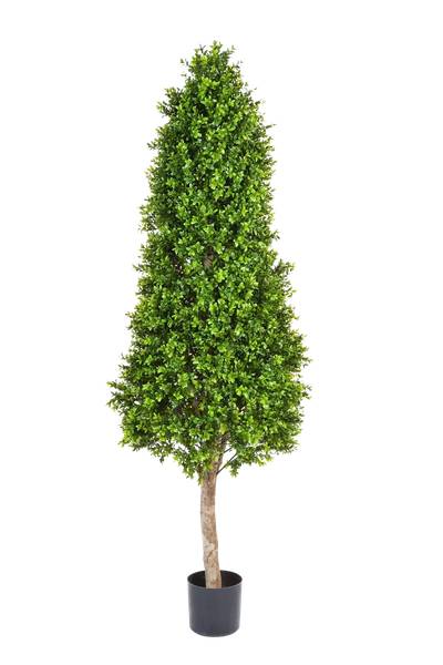 Künstlicher Buchsbaum Rene 50 x 170 x 50 cm