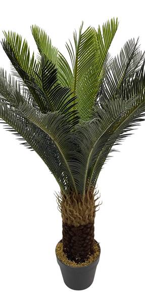 Kunstpflanze Cycas RE7043 Grün - Kunststoff - 35 x 90 x 35 cm