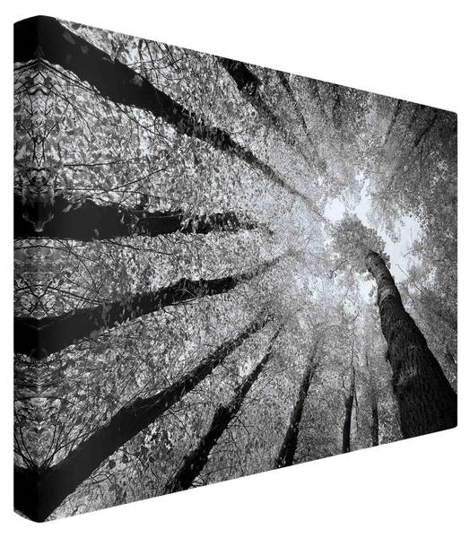 Akustikbild Lebensbäume II 210 x 140 cm