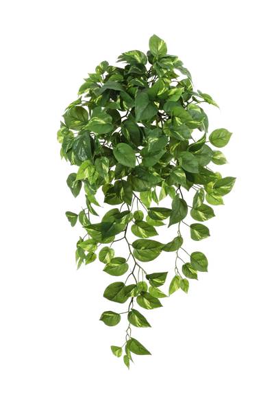 Künstlicher Hänge-Pothos Bella Beige - Kunststoff - 34 x 85 x 34 cm