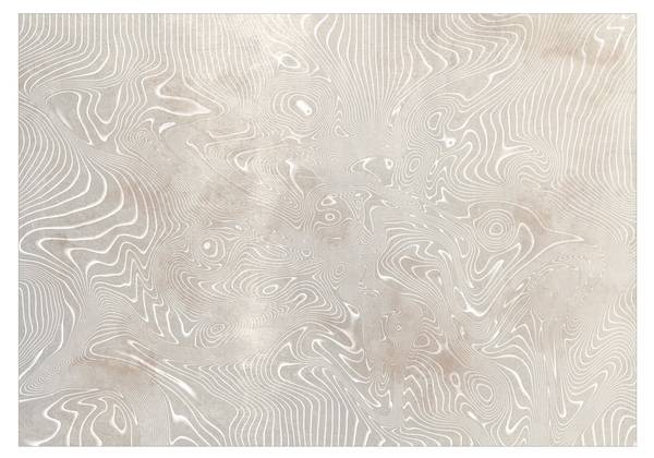 Vliestapete Abstrakt Wek 450 x 315 cm