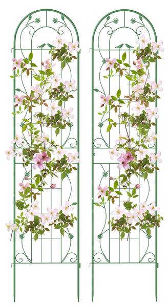 Rankgitter SF6366 (2er Set) Grün - Metall - 50 x 50 x 220 cm