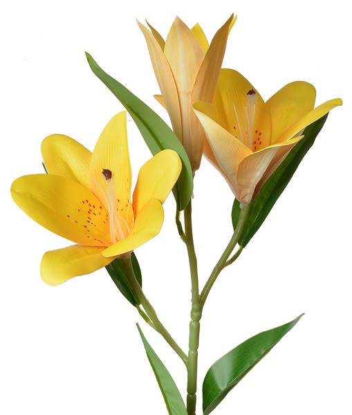 Kunstblume 47848 Gelb - Kunststoff - 12 x 71 x 17 cm