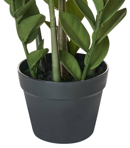 Kunstpflanze ZAMIIFOLIA Schwarz - Grün - Kunststoff - 33 x 76 x 33 cm