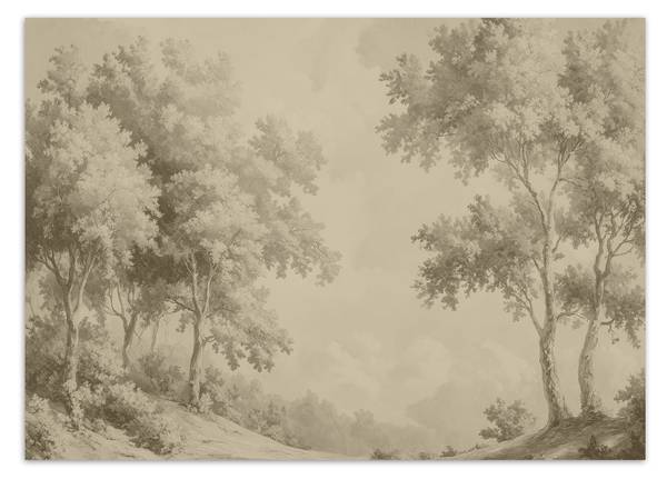 Fototapete Wald Bäume natur 350 x 245 cm