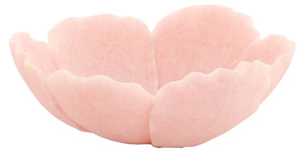 Dekorationsschale FRESIA Pink - Kunststoff - 24 x 10 x 26 cm