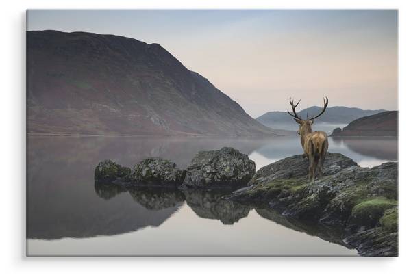 Afbeelding HERT Rivier Mist Canvas 40 x 30 x 30 cm