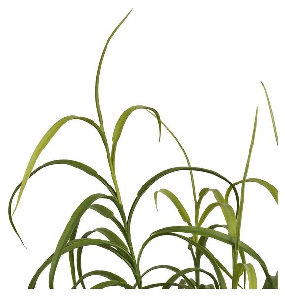 Kunstpflanzen VK8681847499985 Grün - Polyethylen - 36 x 89 x 36 cm