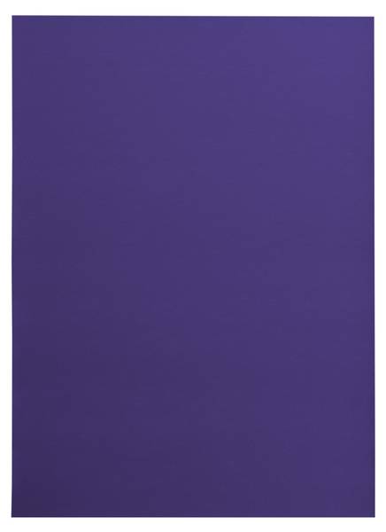Tapis Antidérapant Rumba 1385 Couleur 80 x 200 cm