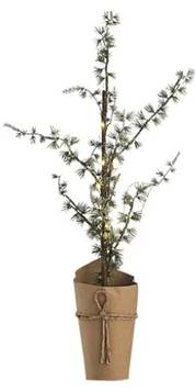 Zeder PINEA mit LED 25 x 60 x 25 cm