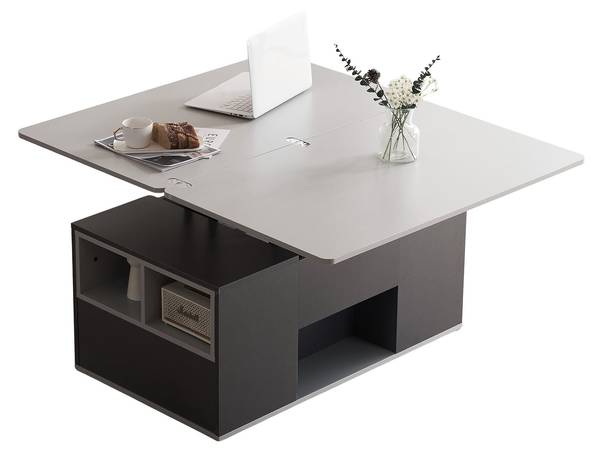 Couchtisch AegisKrynnathor Grau - Holzwerkstoff - 100 x 47 x 51 cm