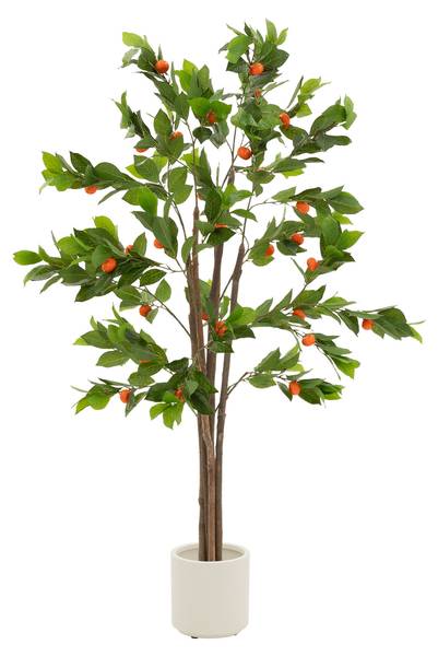 Orangenbaum MILANO Höhe: 160 cm