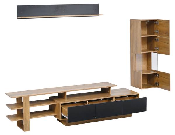 Wohnwand  Cronus Ⅰ（3-tlg） Schwarz - Braun - Holzwerkstoff - Kunststoff - 40 x 100 x 180 cm