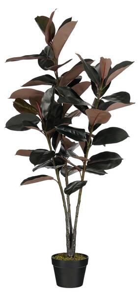 Kunstpflanze Rubberplant kaufen | home24